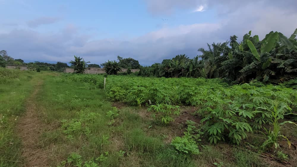 2000 METROS CUADRADOS DE TERRENO EN VENTA, FRENTE AL AEROPUERTO PRESIDENCIAL, AL OTRO LADO DE LA CARRETERA.