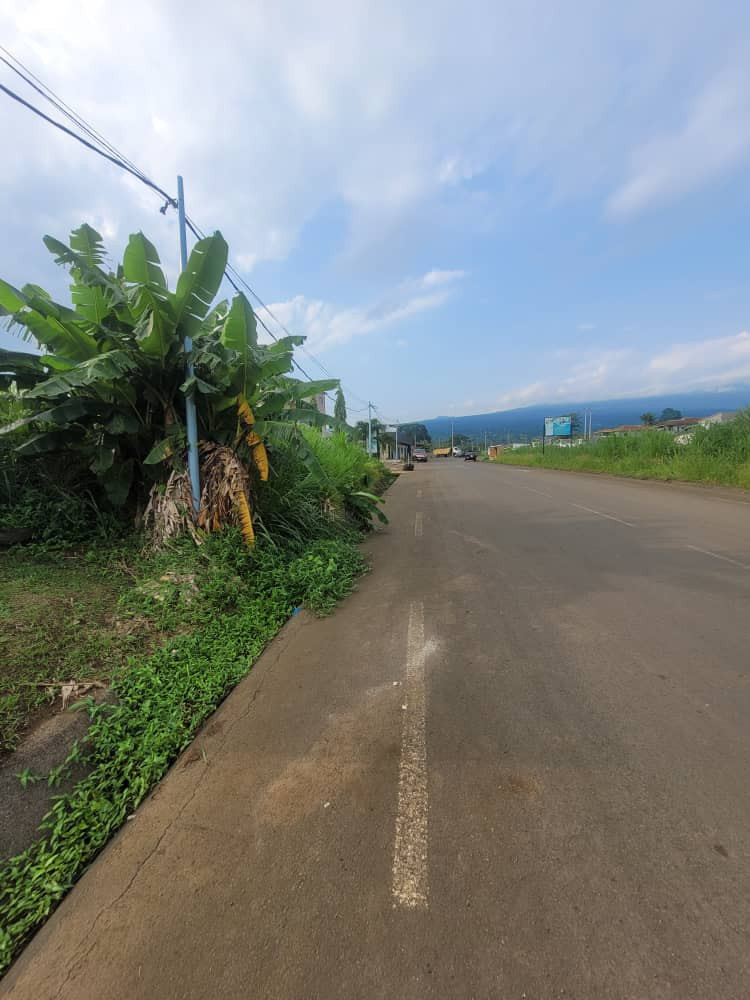 TERRENO EN VENTA